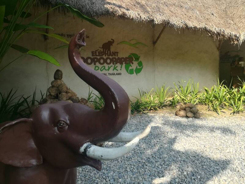 Family Creativity with a Touch of Wellness