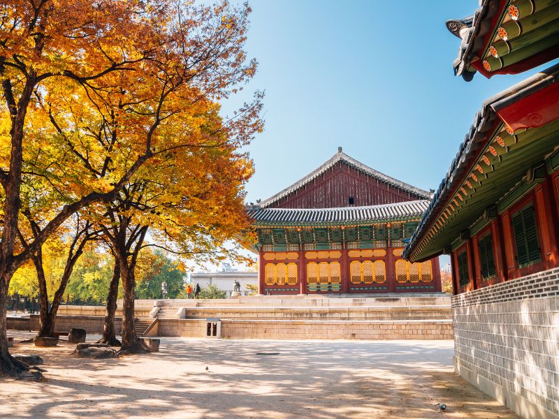 Family Vacation in Korea