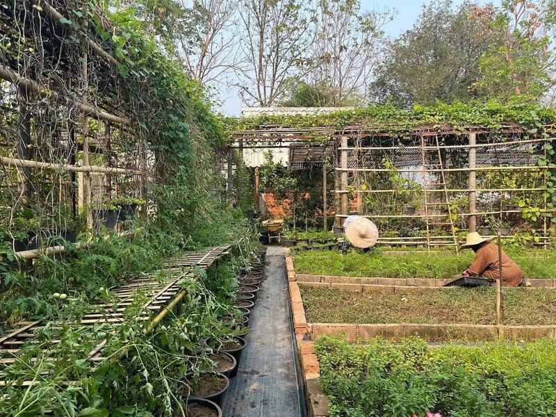 Family Creativity with a Touch of Wellness