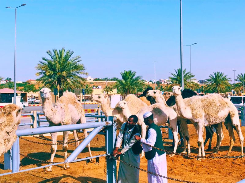 From Capital to Canyon