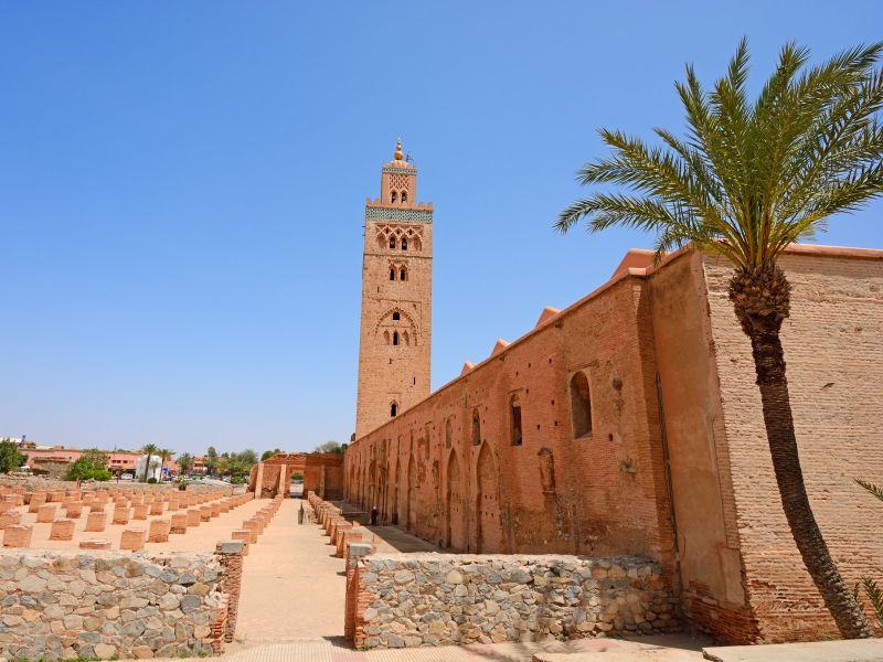 Highlights of Morocco