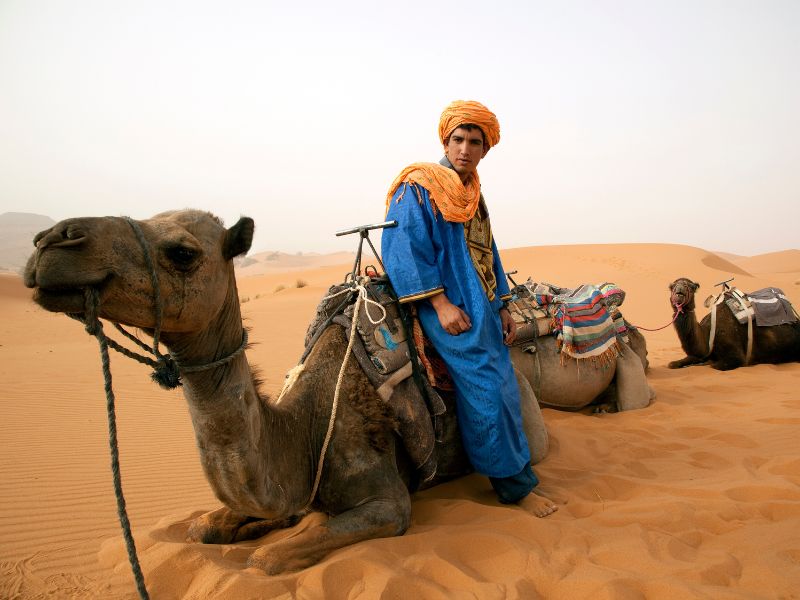 Highlights of Morocco