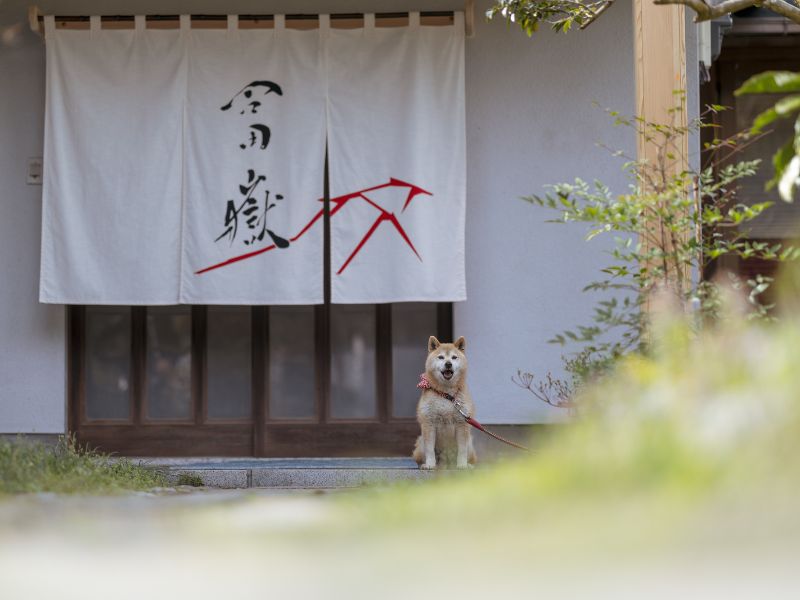 Mt. Fuji Hokusai Ecotour Package