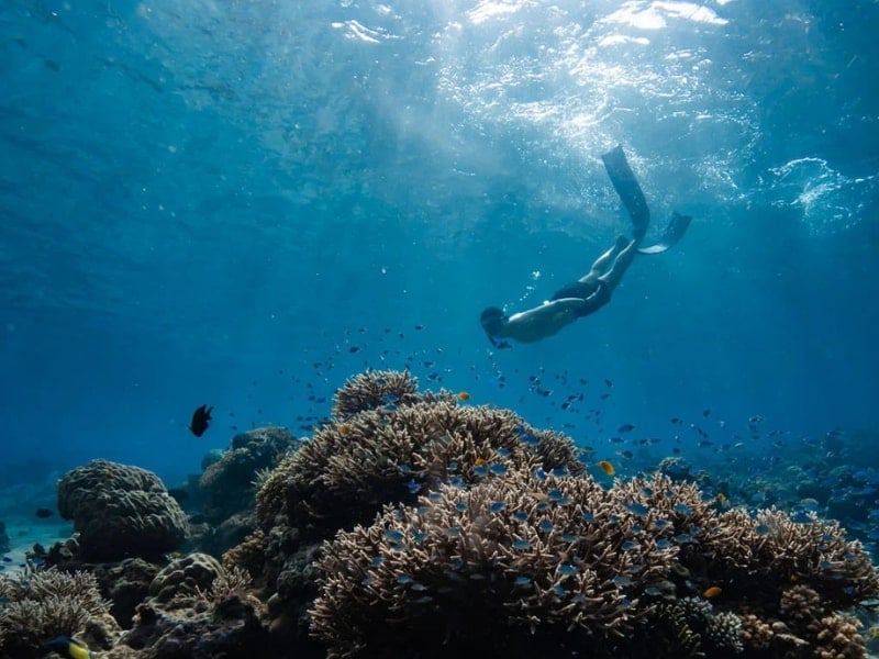 Moyo Island Luxury Escape