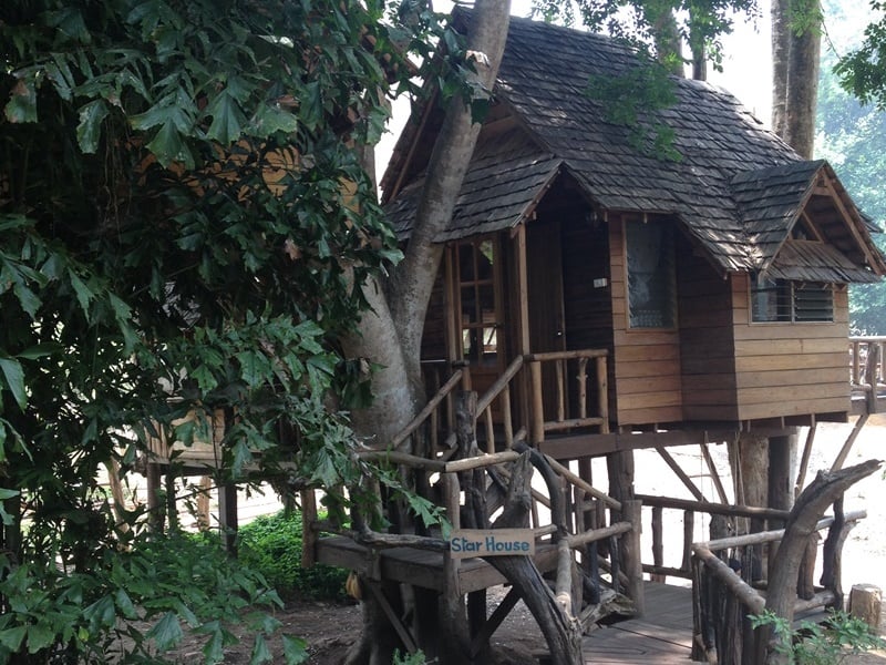 Tree Top Living Chiang Mai