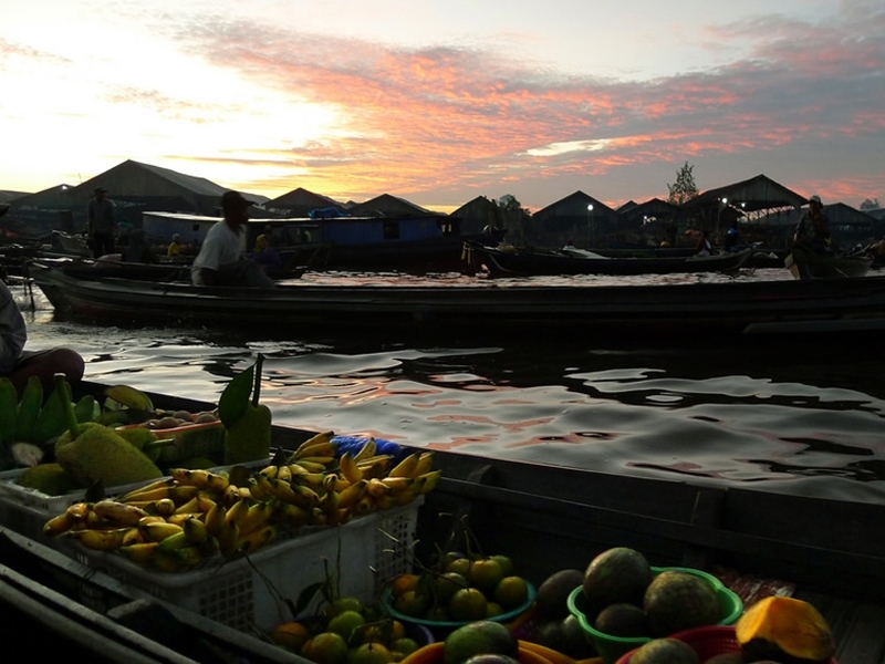 Kalimantan South Island Explorer