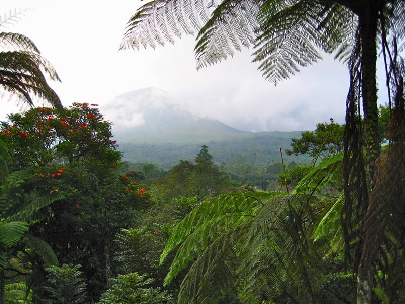 North Sulawesi Culture, Wildlife and Beach