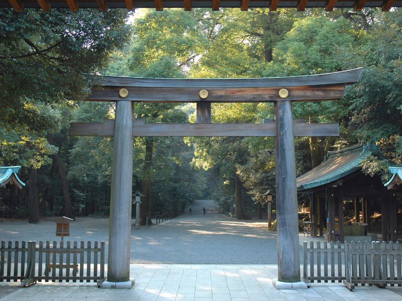 Japanese Carbon Friendly Journey