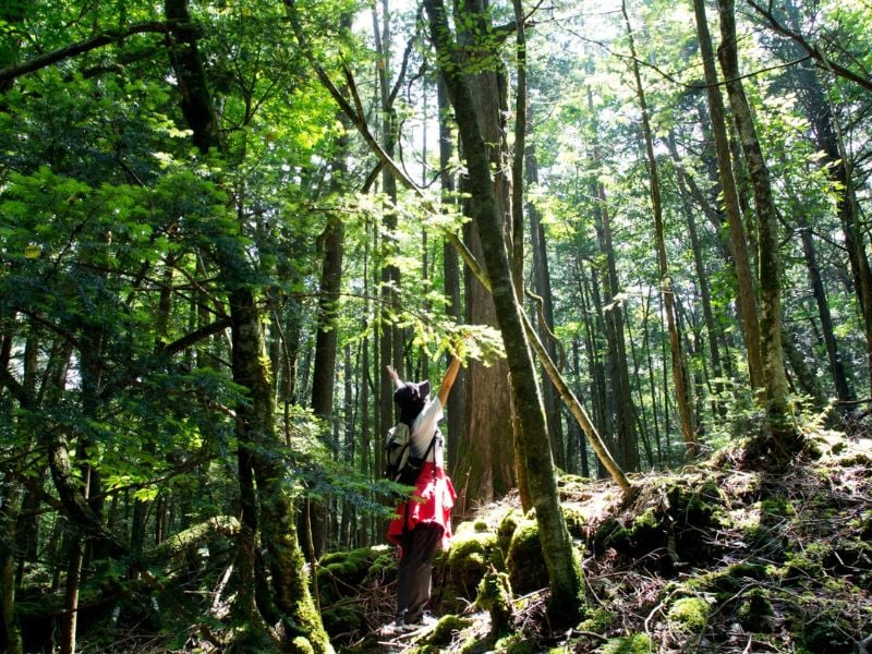 Kawaguchiko Resort & Outdoor Adventure