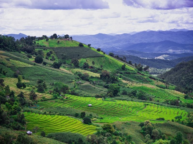 Khun Wang Wilderness Experience