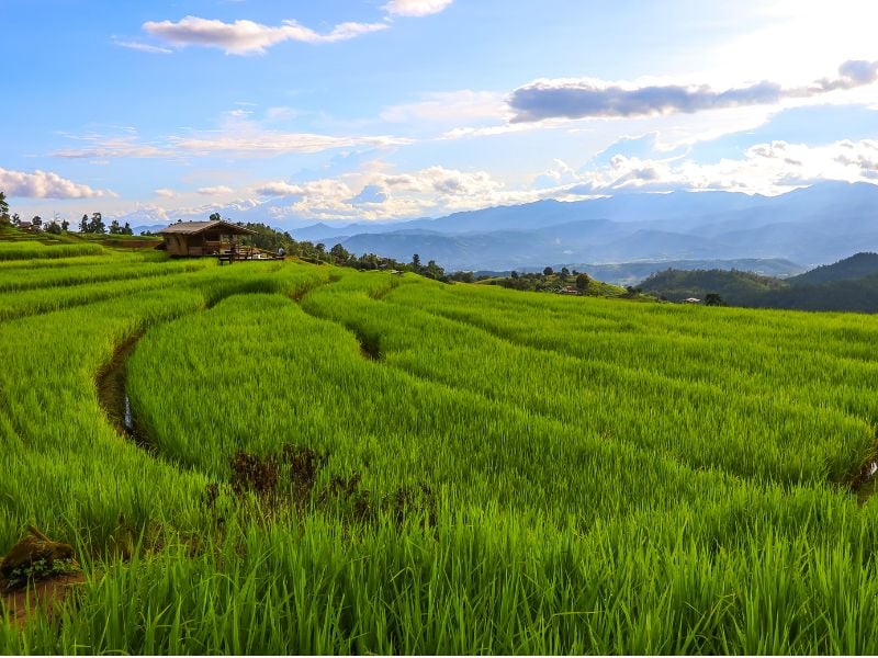 Khun Wang Wilderness Experience