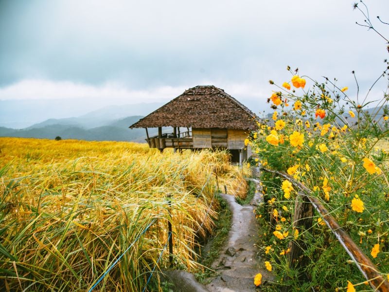 Khun Wang Wilderness Experience