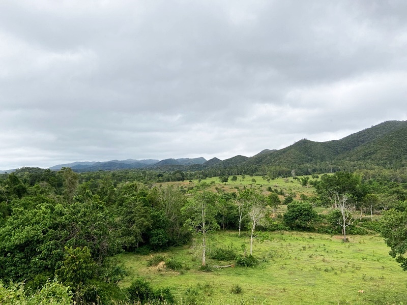 Kui Buri Safari and Cave Trekking