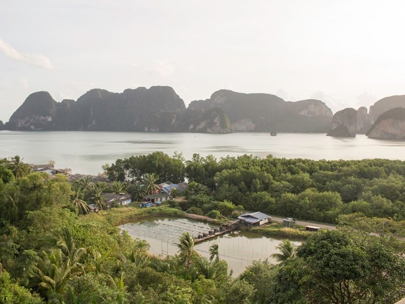 Krabi Local Community Experience