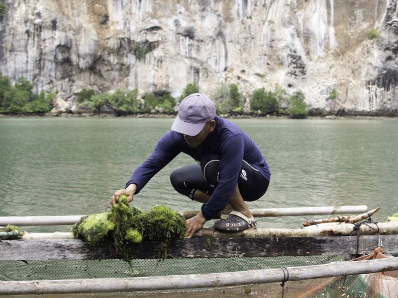 Krabi Local Community Experience