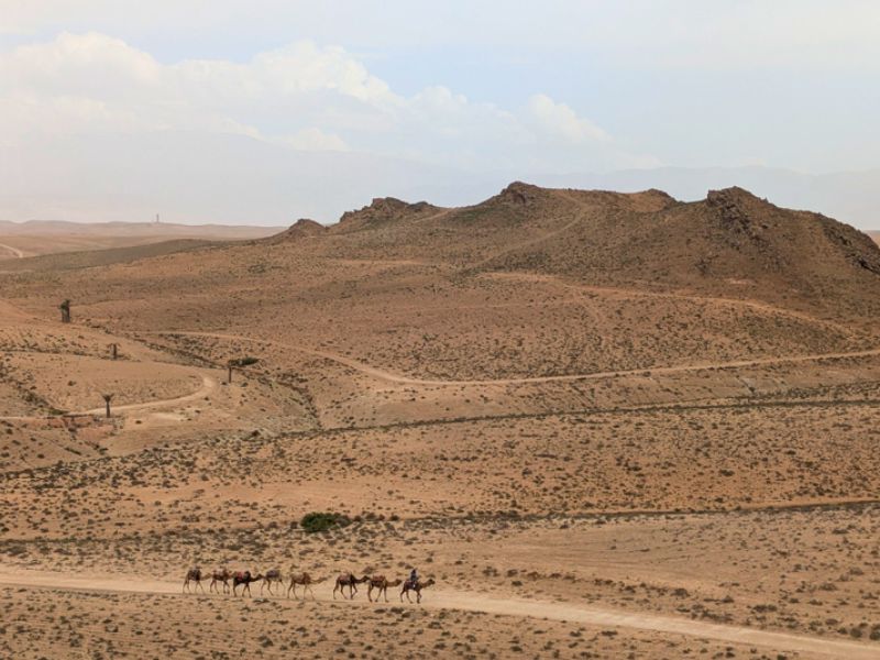 Moroccan Family Adventure
