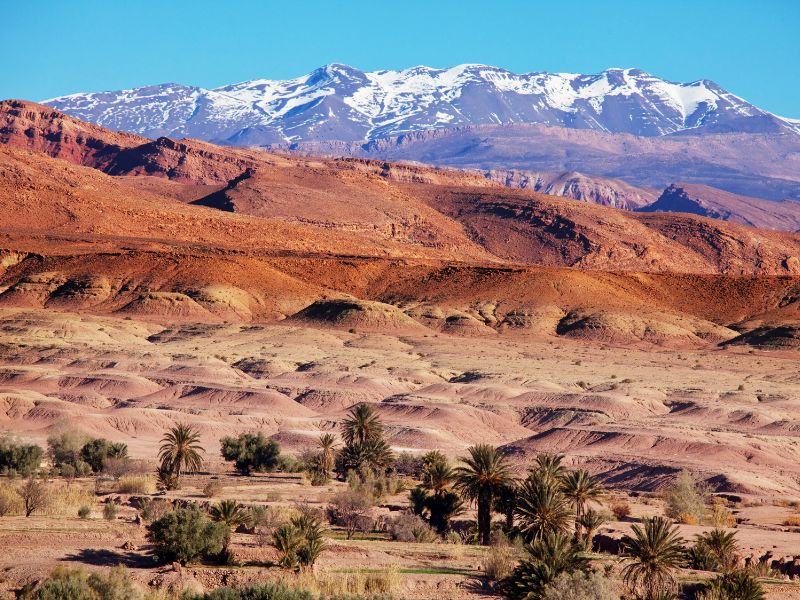 Moroccan Family Adventure