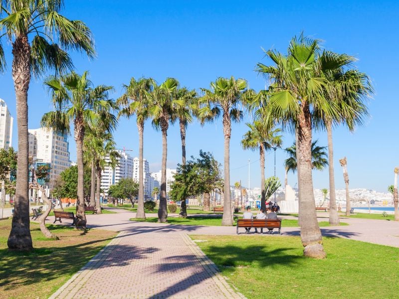 Northern Morocco Explorer