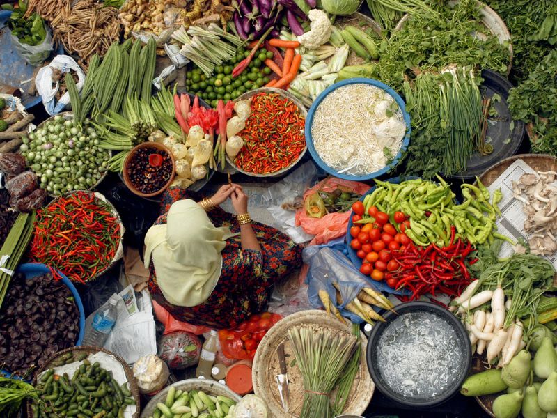 Peninsular Malaysia Carbon Friendly Journey