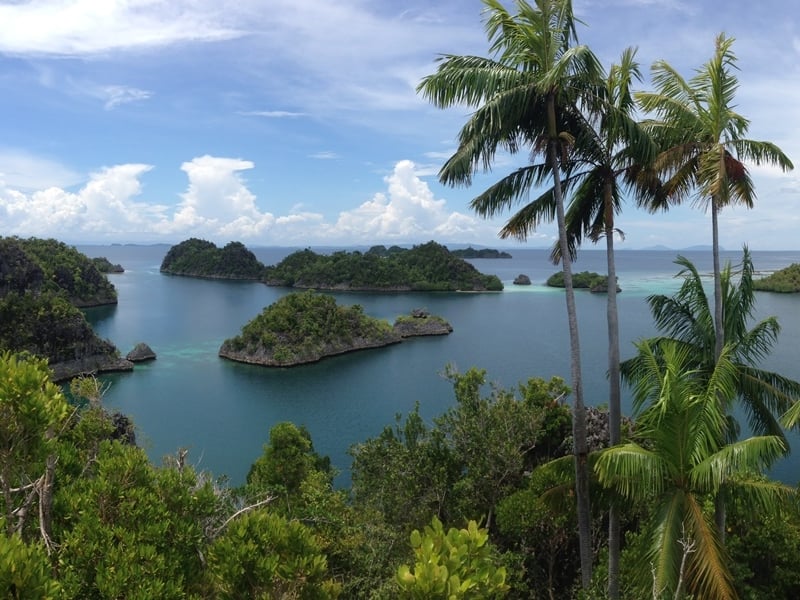 Stint to Raja Ampat