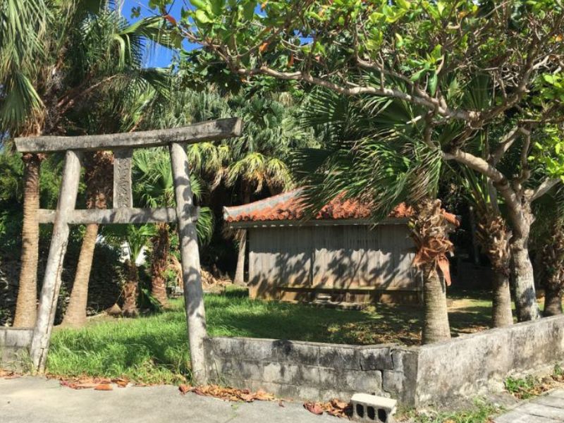 Iriomote: Sacred Forest & Island Traditions