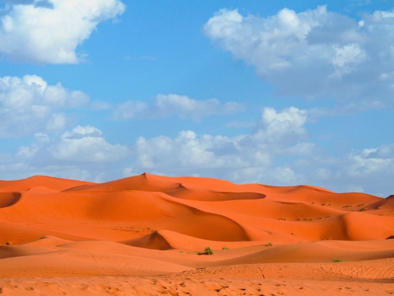 South Sahara Experience