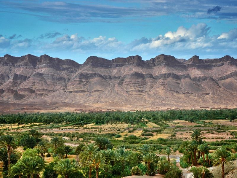 South Sahara Experience