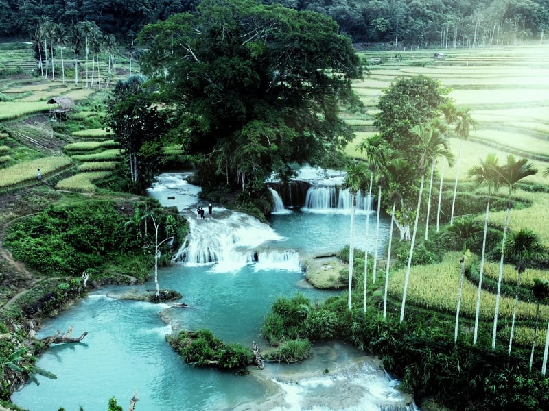 Wild Sumba Exploration With Free & Easy in Bali