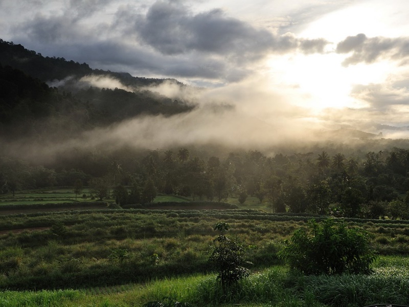 Khao Sok Organic Hill and Lake Safari