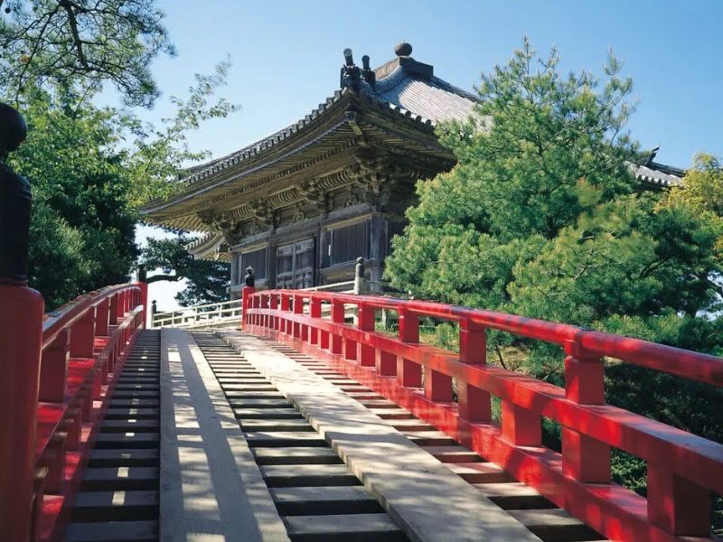 Northern Petals Sakura off the Golden Route