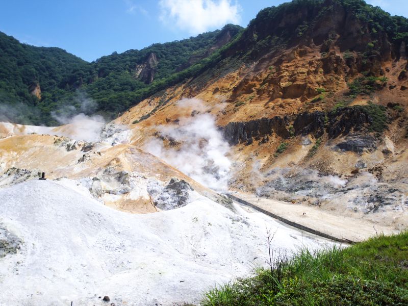 Northern Petals Sakura off the Golden Route