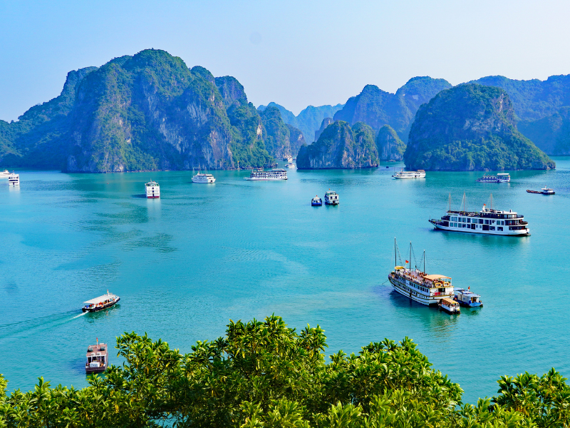 Refined Vietnam. A Discovery of Culture & Cuisine