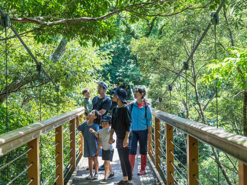 Blue Zone Secrets of Okinawan Wellness