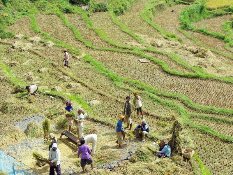 Bali Road Bike Adventure