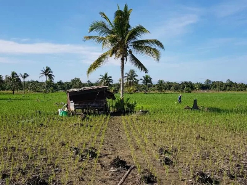 4D3N Off-the-Beaten Path Experience