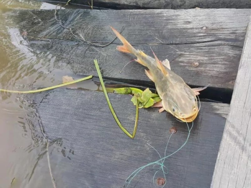 3D2N Off-the-Beaten Path Experience