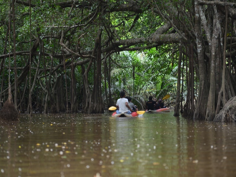 Southern Thailand Off-the-Beaten Nature