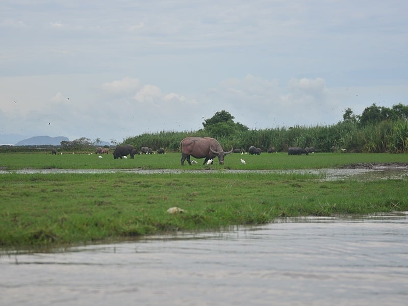 Southern Thailand Off-the-Beaten Nature