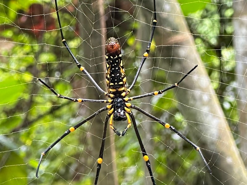 Southern Thailand Off-the-Beaten Nature