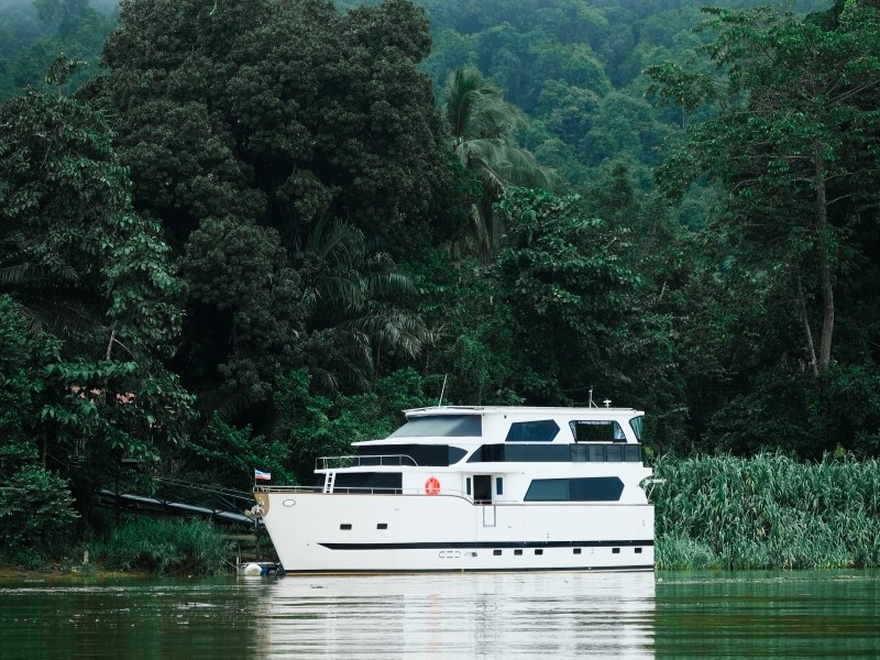 Exclusive Kinabatangan River Wildlife Cruise
