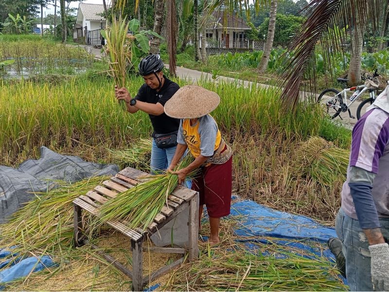 Best of Yogyakarta