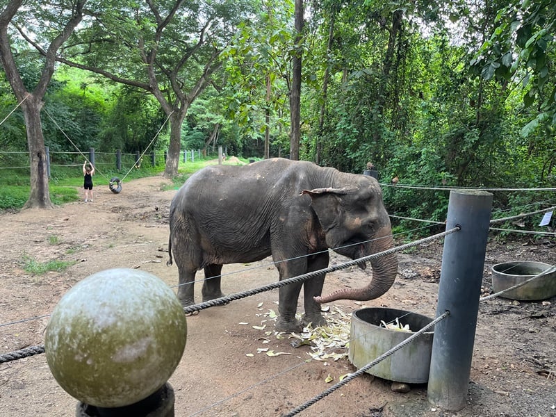 Wildlife Nature Retreat