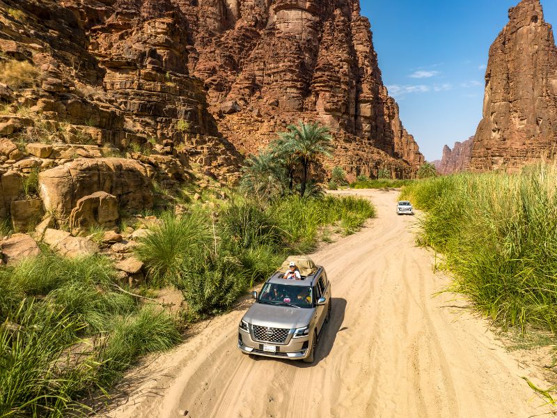 Enchanting Sands: A Self-Drive Adventure