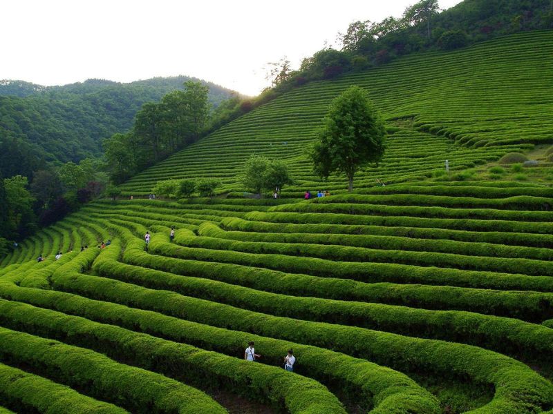 Highlights of West Java