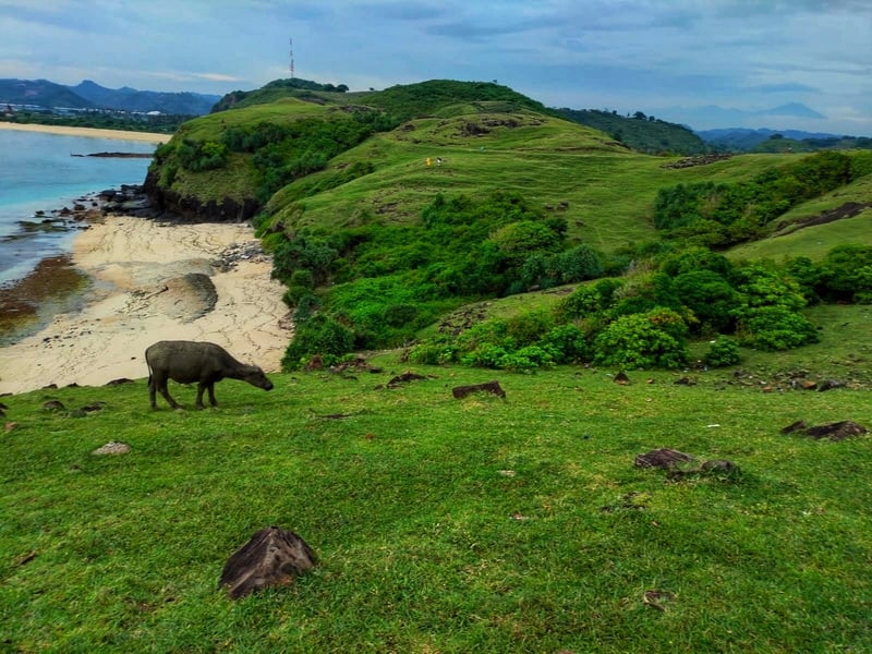 A Taste of Lombok Local Life