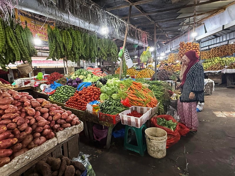 Sumatra Overland, Kerinci and Weh Island Adventure