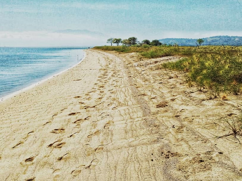 The Sumbawa: Whale Sharks & Nature Experience