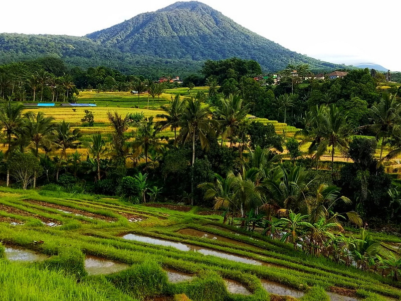 Ubud Soft Adventure