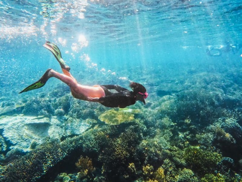 Komodo Liveaboard Experience