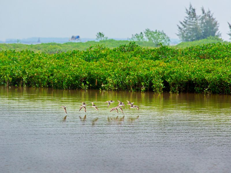 North Vietnam Discovery: Culture, Nature & Bay